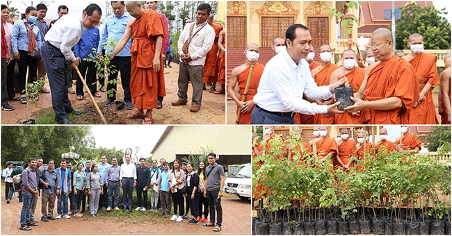 កូនឈើប្រណិតជិត១ពាន់ដើម ត្រូវក្រសួងបរិស្ថាន និងរដ្ឋបាលក្រុង ដាំនៅតាមផ្លូវសាធារណ: វត្តអារាម និងសាលារៀន ដើម្បីបង្កើតភាពបៃតង បណ្តុះស្មារតីពលរដ្ឋឱ្យស្រឡាញ់បរិស្ថាន