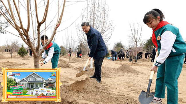 លោក Xi Jinping ប្រធានរដ្ឋចិន អញ្ជើញចូលរួមសកម្មភាពដាំដើមឈើដោយស្ម័គ្រចិត្ត នៅរដ្ឋធានីប៉េកាំង