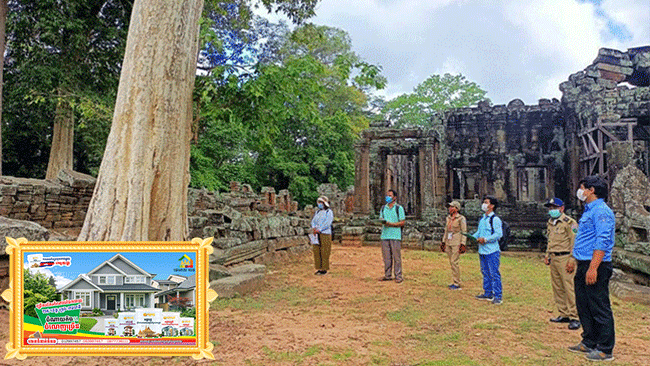 អាជ្ញាធរជាតិអប្សរាកំពុងកាត់ក្រី និងដកហូតដើមឈើមានហានិភ័យខ្ពស់ នៅបរិវេណប្រាសាទបន្ទាយក្តី